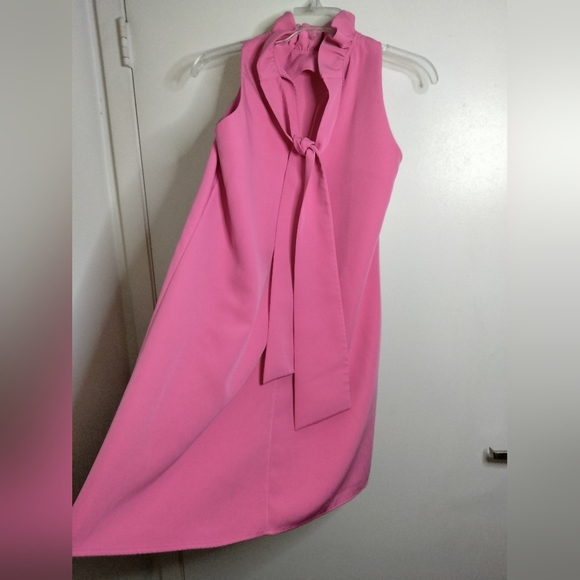Tuckernuck (Sz M) Pink Ruffle Neck V-Back Tie Bow Sleeveless Shift Blythe Dress - Picture 7 of 10